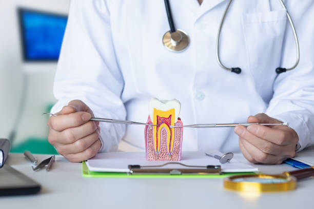 Best Emergency Wisdom Tooth Extraction in Ansonia, OH